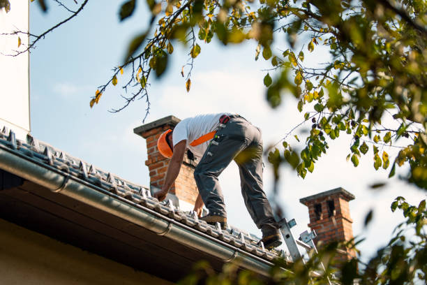 Best Metal Roofing Contractor  in Washington, DC