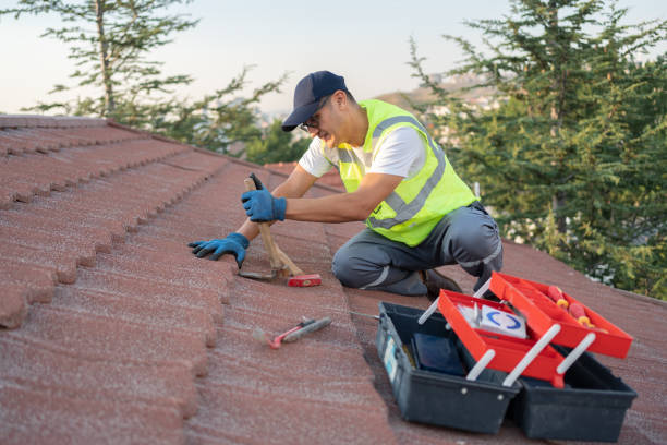 Best Affordable Roof Replacement  in Washington, DC