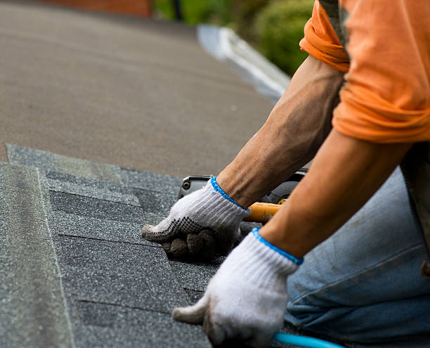 Best Roof Gutter Cleaning  in Washington, DC